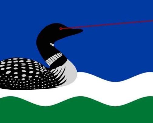 Minnesota Recs! (from a local) cover photo collage