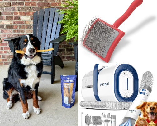Amazon Dog Products Worth Rebuying cover photo collage