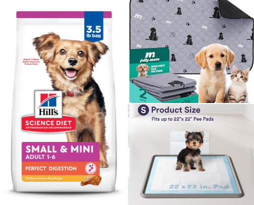 Pet needs for small breeds cover photo collage