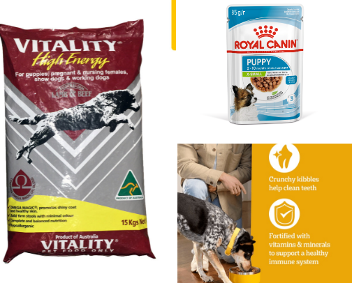 Essential Items Every Fur Parent Should Know 🐶💛 cover photo collage