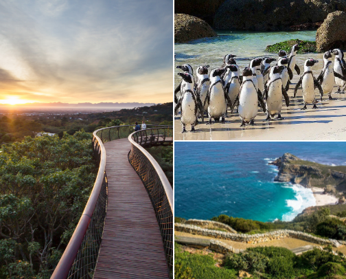 🏞️“TURN BOREDOM INTO ADVENTURE🏞️ cover photo collage