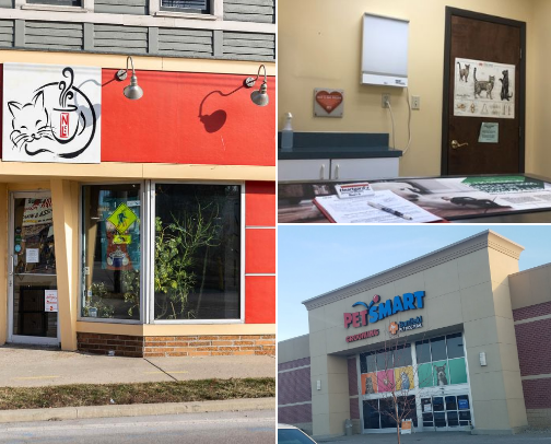 My top Local Pet Services cover photo collage