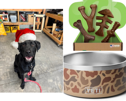 My Dogs Christmas List cover photo collage