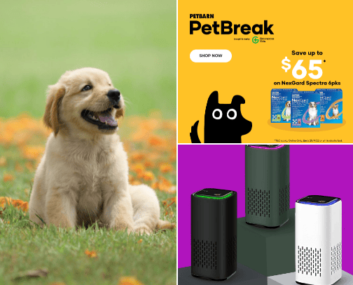 Pet care cover photo collage