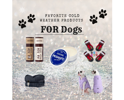 Favorite cold weather products for dogs cover photo collage