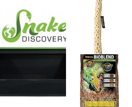 Bearded dragon necessity’s cover photo collage