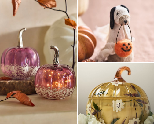 Anthropologie Fall Decor cover photo collage
