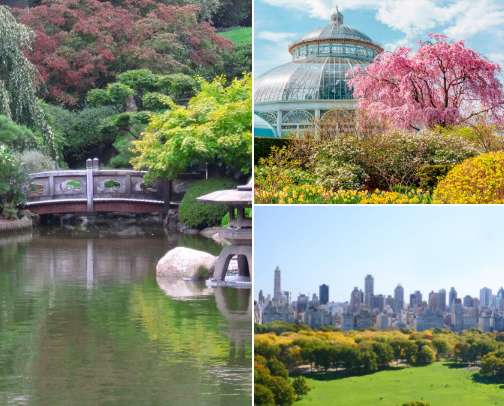 NYC Park Recommendations cover photo collage