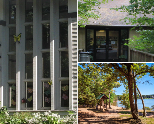 🌳 Charlotte Outdoor Adventures cover photo collage