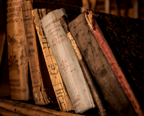 Book Lovers Paradise cover photo collage