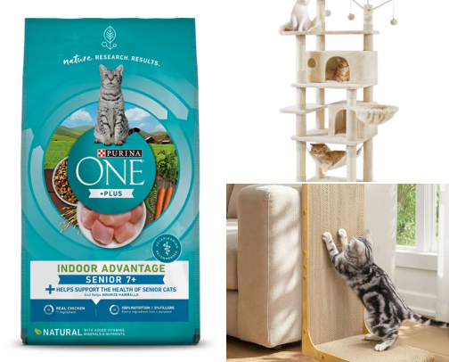 Cat & Kitten supplies cover photo collage