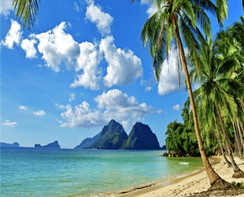 My Cruise Ship Travel Must Haves cover photo collage