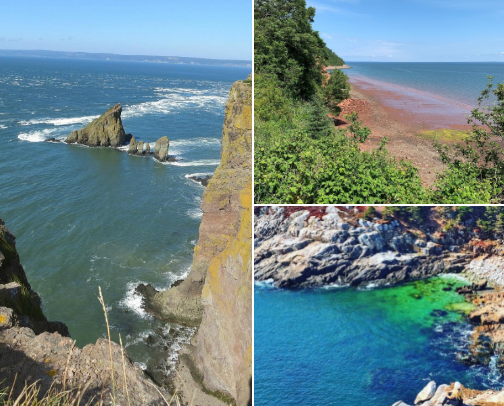 Best Workout Fits in Town... cover photo collage