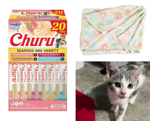 Cat Must-Haves 🐈 cover photo collage