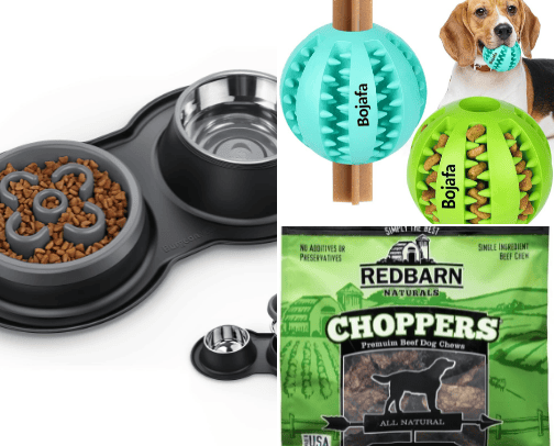 Pets cover photo collage