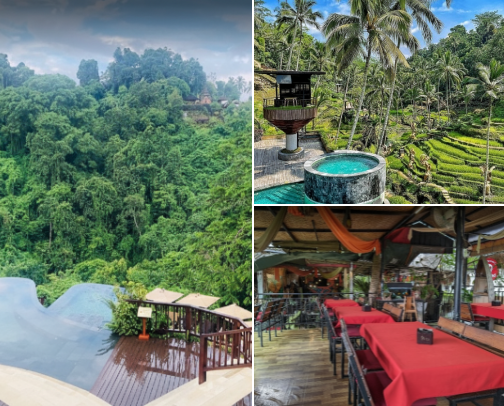 🌺 Explore Bali Like a Local cover photo collage