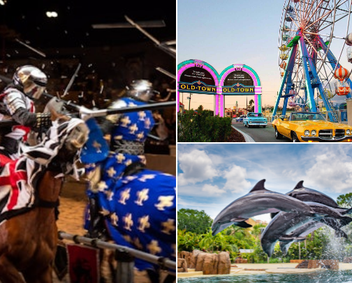 Orlando Adventures cover photo collage