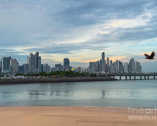 Explore Panama City, Panama cover photo collage