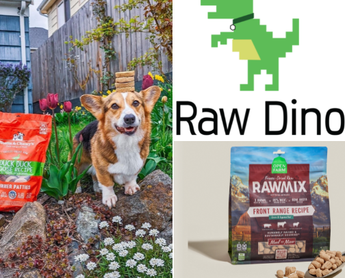 Healthy Dog Food & Treats cover photo collage