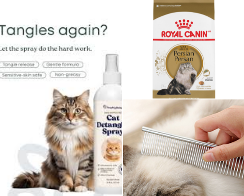 Persian Cat Products 🐱 cover photo collage