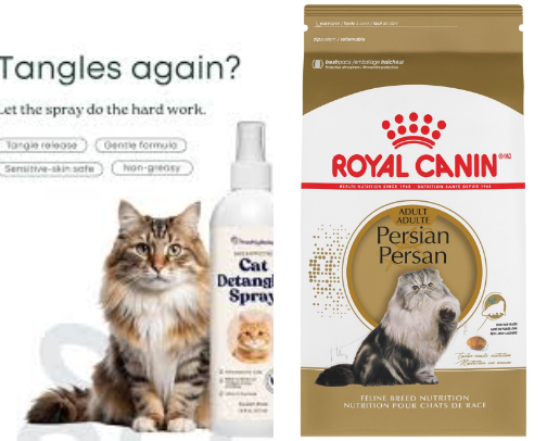 Persian Cat Products 🐱 cover photo collage