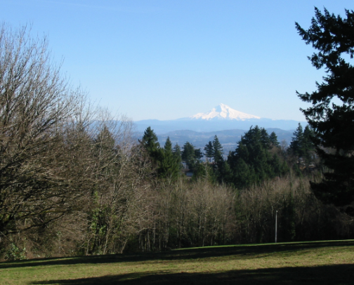 Free things / Low cost things to do in Portland, Oregon cover photo collage