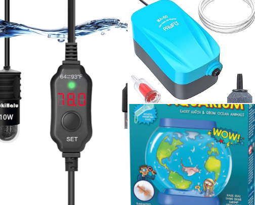 Sea Monkeys🦐 cover photo collage