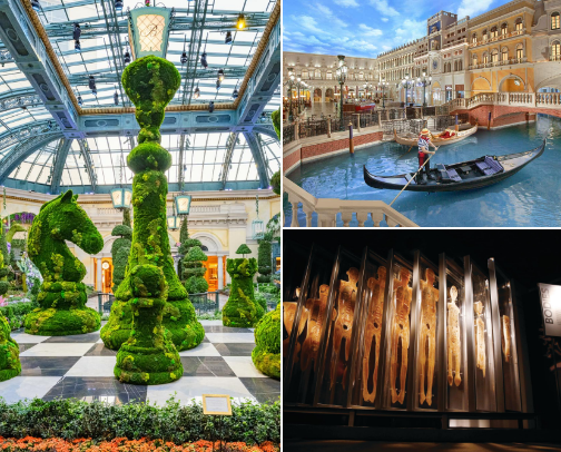 Places to see in Las Vegas cover photo collage