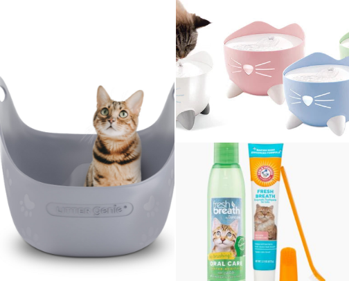 Cat must have's for pet owners cover photo collage