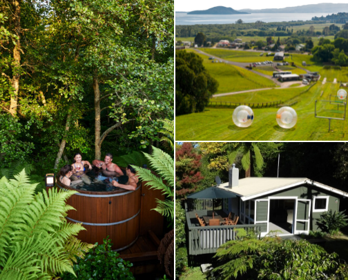 𝘕𝘰𝘳𝘵𝘩 𝘐𝘴𝘭𝘢𝘯𝘥 𝘍𝘢𝘷𝘦𝘴:
Rotorua, NZ cover photo collage