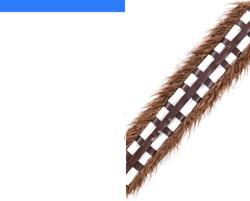 Chewbacca Halloween Outfit! cover photo collage
