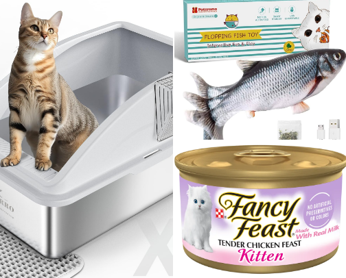 Must have for Cats/Kittens cover photo collage