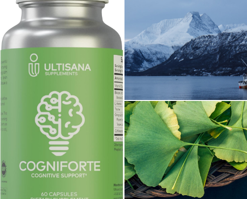Brain Health & Memory Support cover photo collage