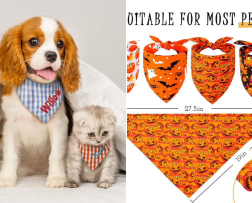 Puppy passion for fashion cover photo collage