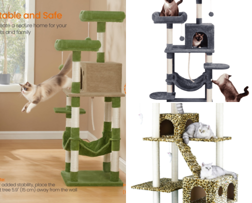 Cat Trees That Finally Stopped My Indoor Cat From Destroying Furniture cover photo collage