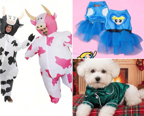 Funny Halloween Costumes That Guarantee a Big Entrance cover photo collage