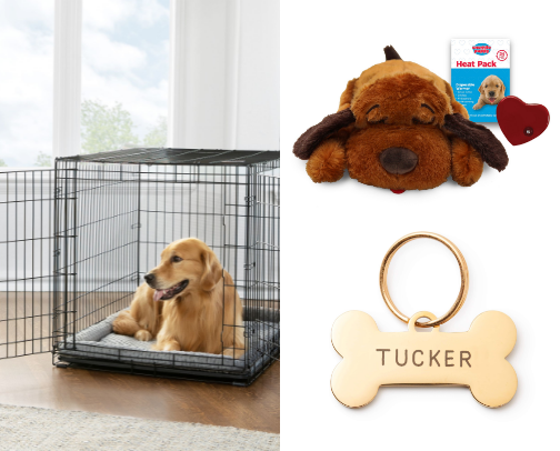 🍼 Puppy Essentials cover photo collage