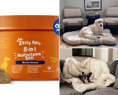 Frenchie mom must haves!! cover photo collage