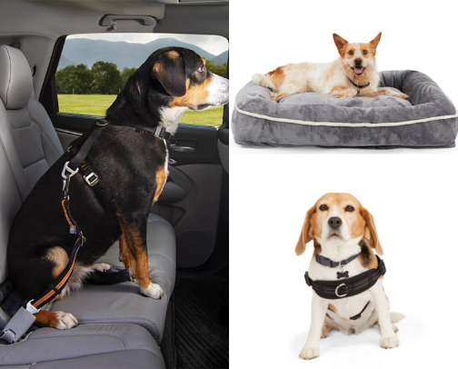 Pawsitively Prepped cover photo collage