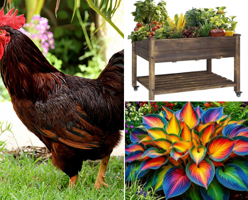 Farming & Gardening cover photo collage