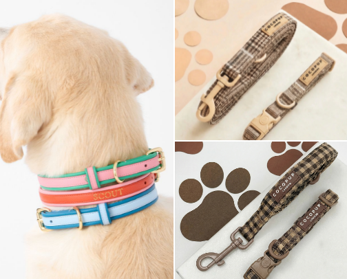 Our Walk Essentials: Collars, Harnesses, and Leashes cover photo collage