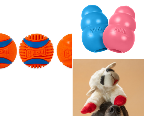 Must-Haves for Dog Owners cover photo collage