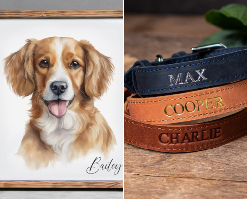 Pet Finds & Dog Mom Gifts I Recommend on Repeat 🐾✨ cover photo collage