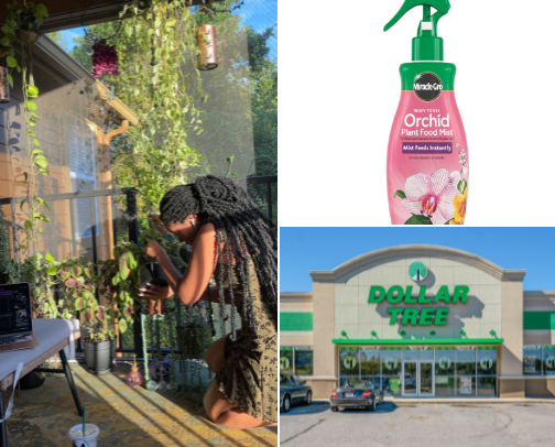 Gardening Essentials for the Plant Girlie on a Budget 💚🌱 cover photo collage