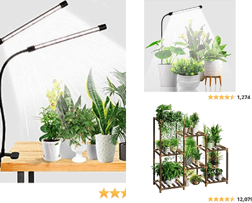 Plant Goddess cover photo collage