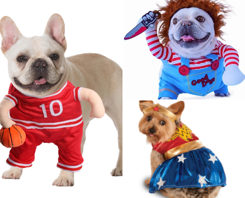 Pet Halloween Costumes cover photo collage