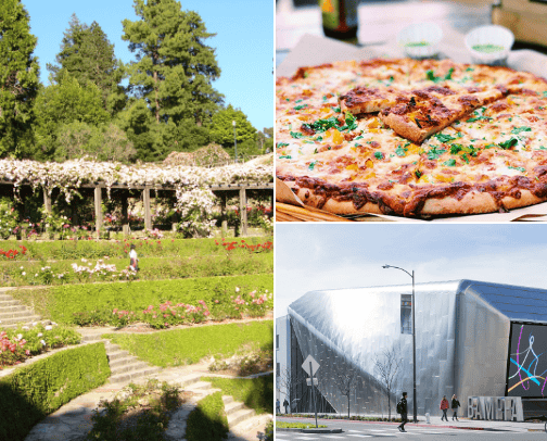 Favorite Spots in Berkeley, CA cover photo collage