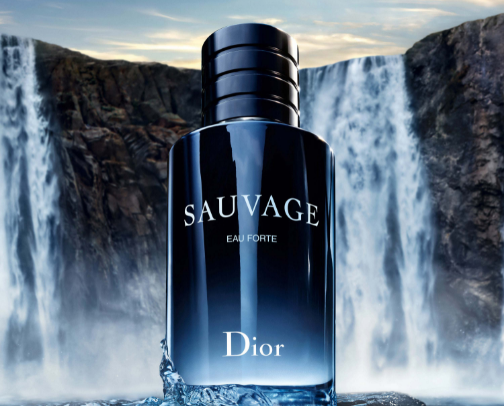 perfumes for MEN cover photo collage