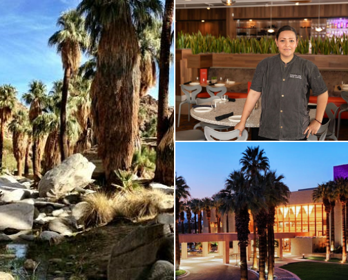 Things to Do In Palm Springs Area cover photo collage