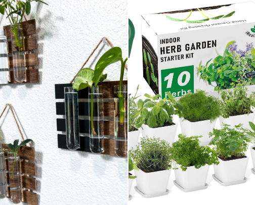 Must-haves for indoor plant parents! cover photo collage